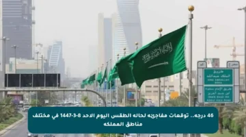 46 درجة.. توقعات مفاجئة لحالة الطقس اليوم الأحد 8-3-1447 في مختلف مناطق المملكة